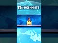       mediagroup btv news btvdigital