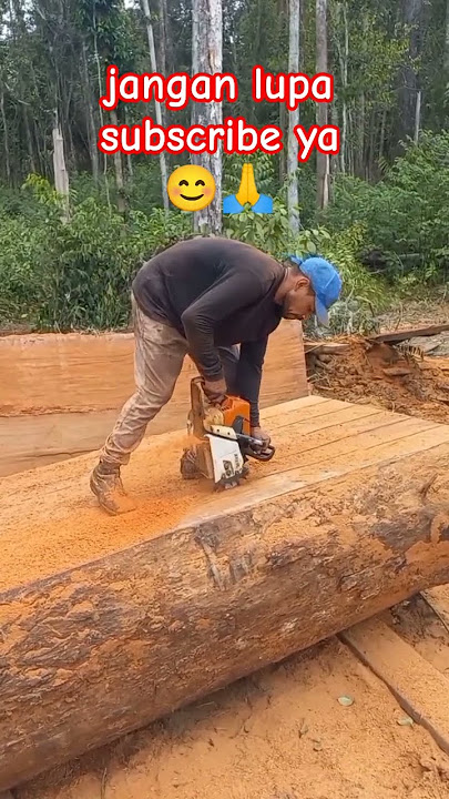 raungan suara sensor mini #calonoperator #wood #chainsaw #mesin #nature