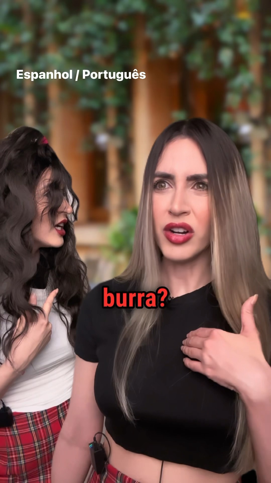 Burra em espanhol: cuidado, não é o que você pensa!