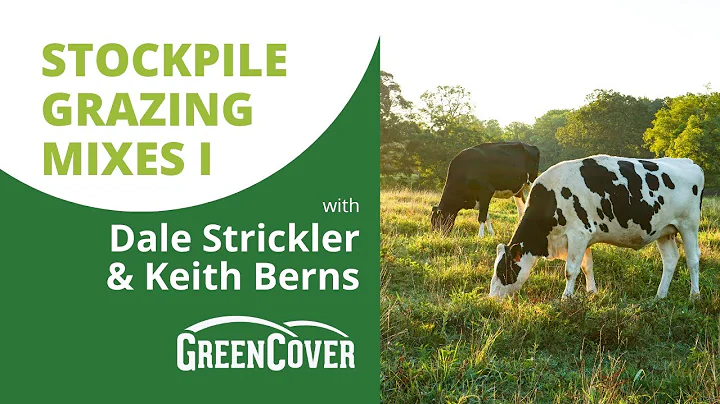 Stockpile Grazing Mixes with Dale Strickler (Part ...