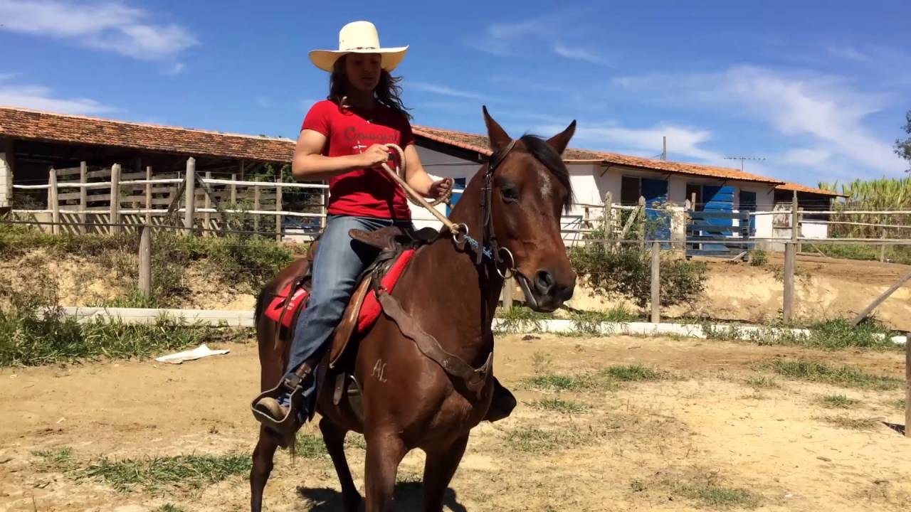 ENSINANDO meu CAVALO a PULAR a CERCA 