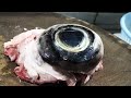 Awesome Food Recipes!The Best  Bluefin Tuna‘s Big Eye You'll Ever Eat