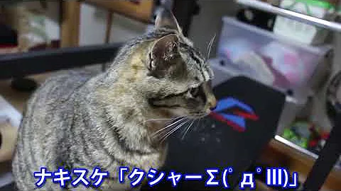 おならかがせる Mp3 おならかがせる Mp3