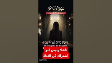 القرآن الكريم #اكسبلور #رمضانمبارك #دويتو #duet #لايك #تيك_توك #راحة_نفسية #ترند #في #لا