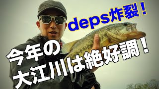 depsルアーがヤバイ！大江川ってこんなに釣れるところだっけ？【バス釣り deps フローター】