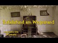 Lost Place - Zufallsfund am Wegesrand