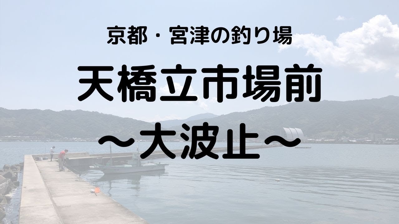 天橋立市場前 京都 宮津 の釣り場情報 丹後エリア