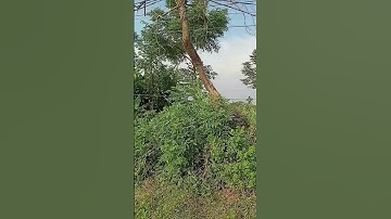 Tập 411: Lô đất view sôngxã Ý Yên Ninh Bình – mặt tiền 28m, đường đôi rộng, tiềm năng tăng giá tốt!