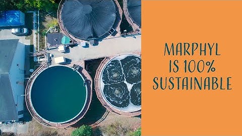 Is MARPHYL Marine Phytoplankton Sustainable?