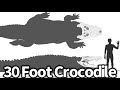 30 foot crocodile killed in india skull proves it