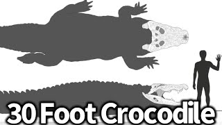 30 Foot Crocodile Killed in India (Skull Proves It?)