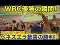 現地が揺れたWBC優勝の決定的瞬間！これがベネズエラ大絶叫驚愕の叫び！