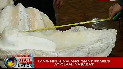 SONA: Ilang hinihinalang giant pearls at clam, nas...