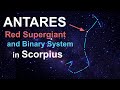 Exploring Scorpius and Antares