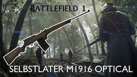 #Battlefield1 #Teamdeathmatch Selbstlader M1916 optical (24-2)