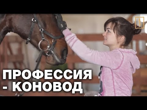 Секреты любви человека и лошади. Мастер-класс