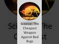 science: the cheapest weapon against bedbug