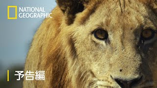 サベージ・キングダム 3：戦乱の幕開け - 予告編 | ナショジオ