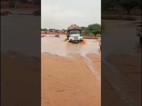 ارجو الدعم بي اشتراك