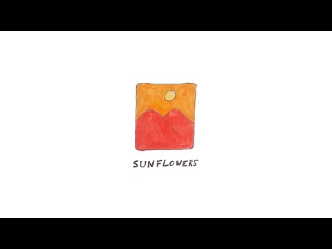 Matthew Chaim - Sunflowers (Official Lyric Video)