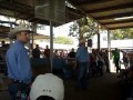 2011 Livestock Sale 2011 Livestock Sale