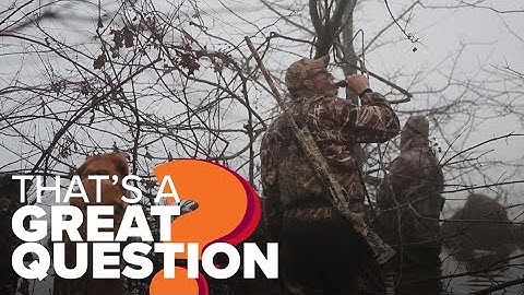 What hunters need to know about Duck Stamp Modernization Act | That
