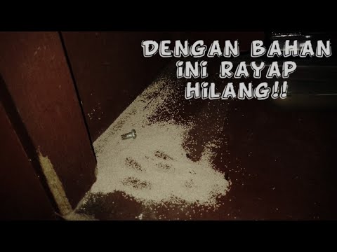 Video: Apakah tanda-tanda anai-anai kayu kering?