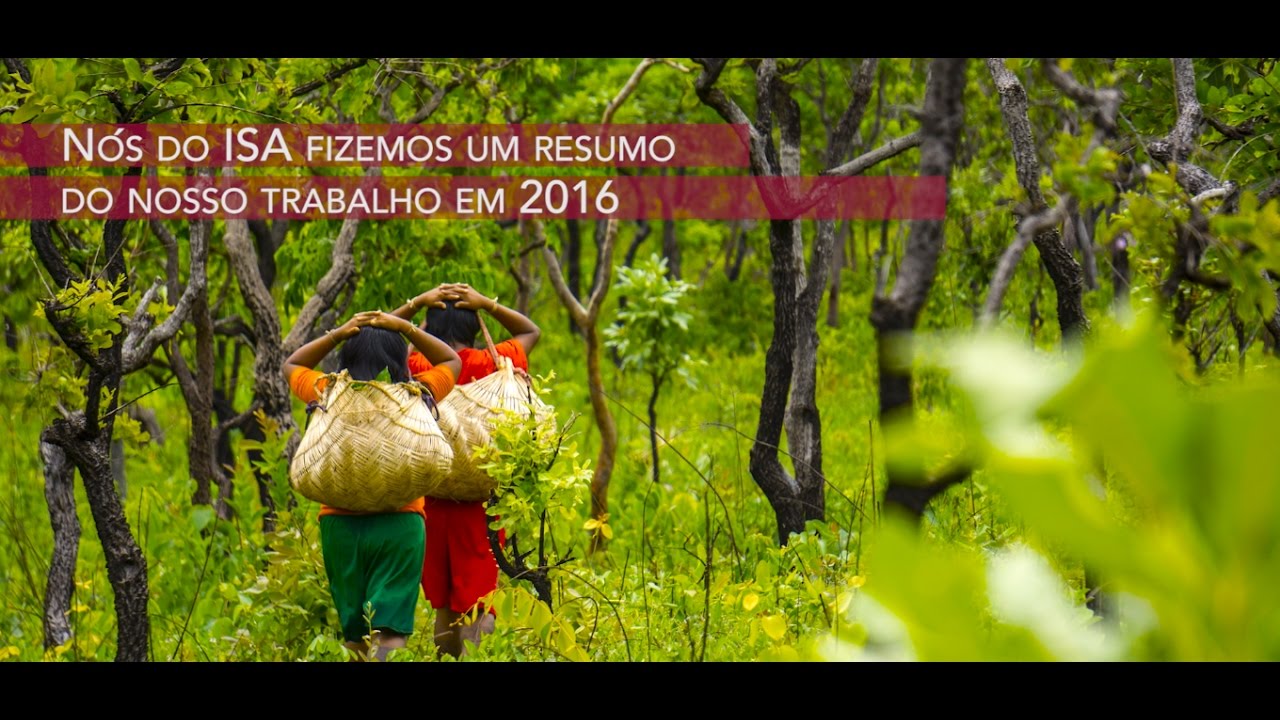 Dados Do Instituto Socioambiental Mostram Que No Seculo Xvi