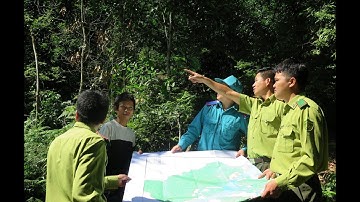 Xã hội hóa công tác bảo vệ rừng ở Tuyên Quang