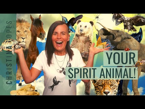 Video: Hoe u uw spirituele dier kunt vinden: 12 stappen (met afbeeldingen)