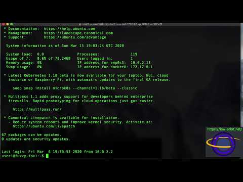 Docker Got Permission Denied