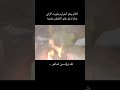 ياراكب اللي ركوبه يبرد الغلي يقرب البعد والنصاب ينصب به منهو الشاعر شاركونا ياراكب اللي ركوبه يبرد الغلي يقرب البعد والنصاب ينصب به منهو الشاعر شاركونا