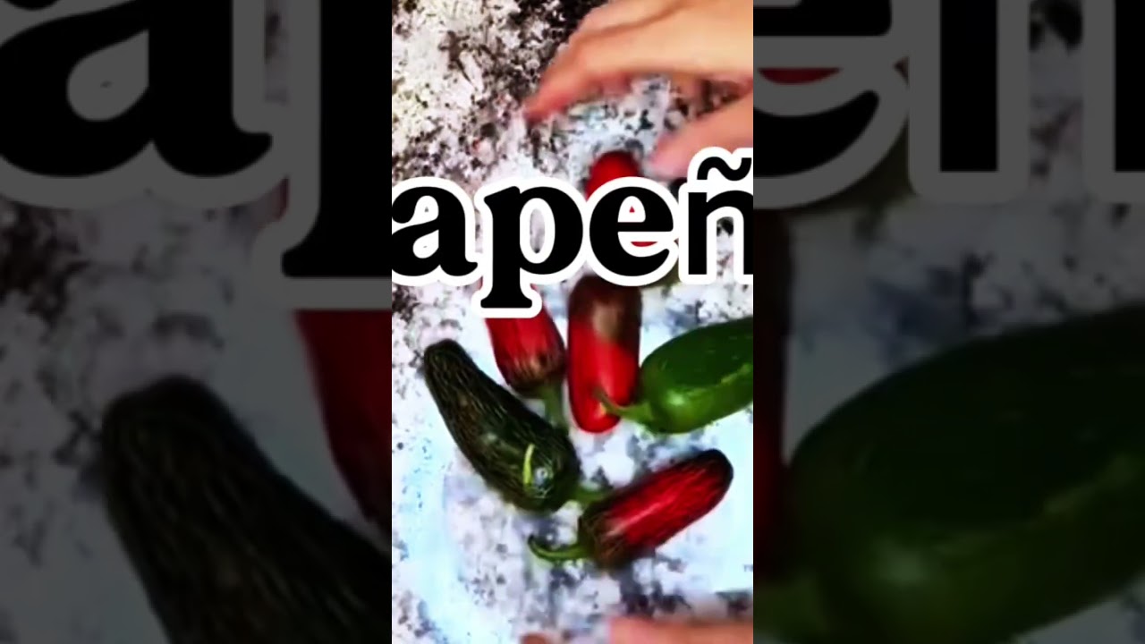 Mondays are farm box pickup!