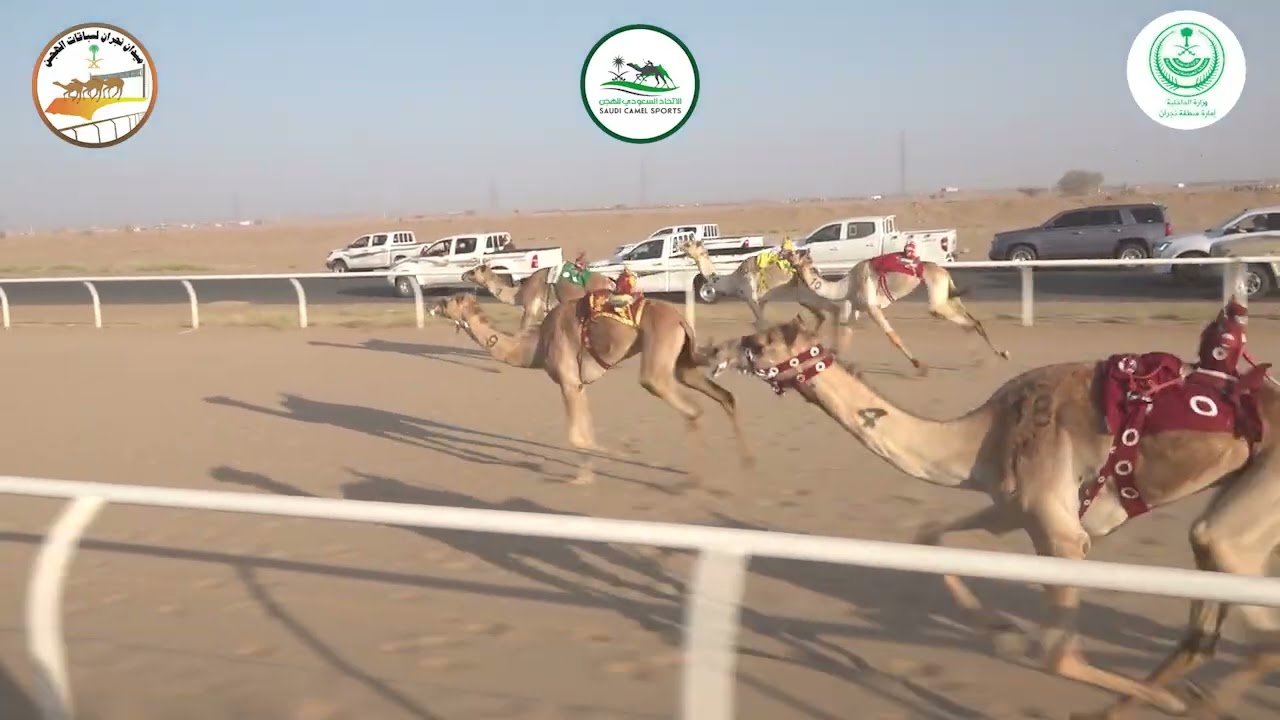 7/بكار لقايا /4000م / العاصفه / علي بن جابر ال نصيب