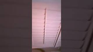 Did you see who it was? #3amvideo #creepy #scary