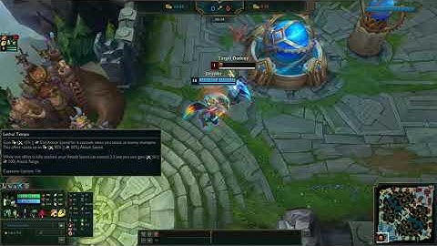 Warwick with Lethal tempo and Max attackspeed 5.24