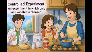 What is a Controlled Experiment - Easy to Understand
