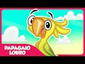 Papagaio Louro - Galinha Pintadinha 5 - OFICIAL