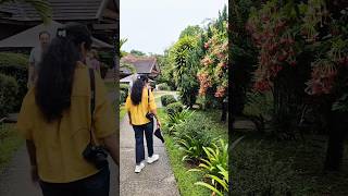 Nature + Love = Magic 💚 | Dil To Pagal Hai Songs in Nature Vibes 🌿