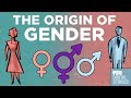 The Origin of Gender