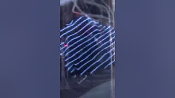 Amorphous Radio Blob