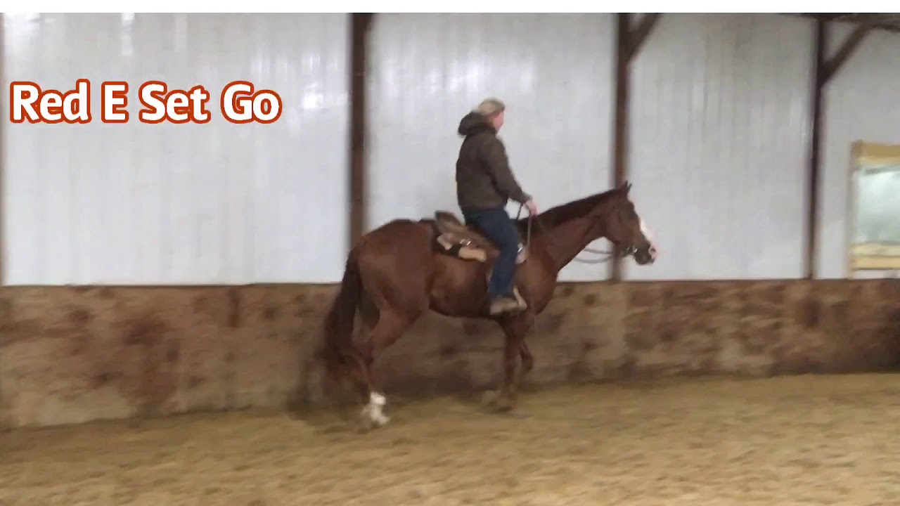 Red E Set Go 2017 AQHA HUS Iron Enterprise gelding For Sale YouTube