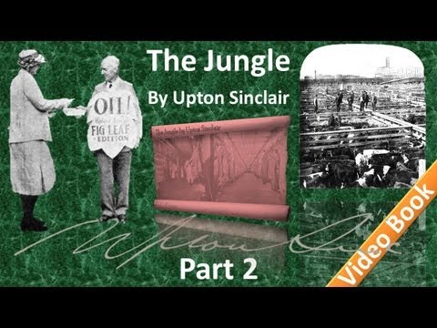 Part 2 - The Jungle Audiobook by Upton Sinclair (Chs 04-07)