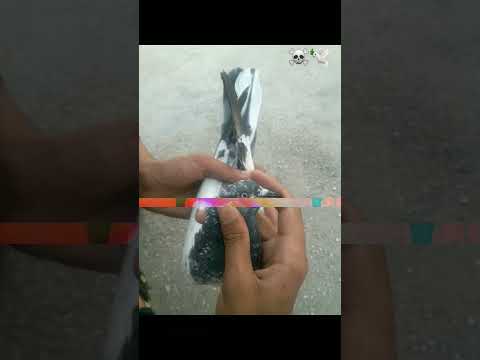 KALSURA KALDUMA BATARA KA COROS SHOK KARA MASHALLA ZARUR BOLA BAKI LIKE SHAR SUSCIBE KARA THX