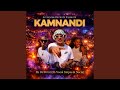 Kamnandi (feat. Dj Brint, Vocal Snipes &amp; Necia)