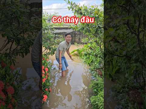 Video The homemade canoe - youtube