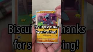 This cute #cat finds a rare Pokémon card #pokemon #fyp #viral This cute #cat finds a rare Pokémon card #pokemon #fyp #viral