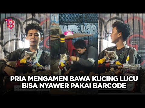 Pengamen unik, bawa kucing saat tampil hingga terima saweran pakai scan barcode | NEWSFLASH