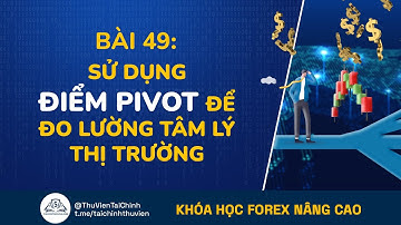 Bài 49: Sử Dụng Điểm Pivot Để Đo Lường Tâm Lý Thị Trường | Đầu Tư Forex Nâng Cao | Học Forex Online