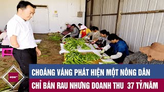 Choáng váng phát hiện một nông dân chỉ bán rau nhưng doanh thu  37 TỶ/năm